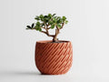 Vaso Decorativo Moderno para Plantas – Vários Tamanhos